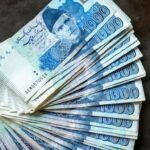 Pakistan banks increase exposure to short-term and floating-rate government securities