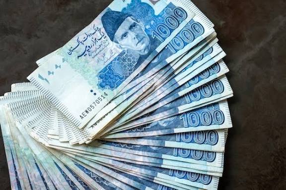 Pakistan banks increase exposure to short-term and floating-rate government securities